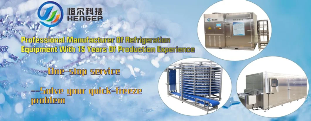 Flash Freezer Cold Room Refrigeration Equipment