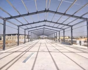 Сборный металлический курятник из горячего продукта, настраиваемый коровник, свиноферма, стальная конструкция, сельское хозяйство